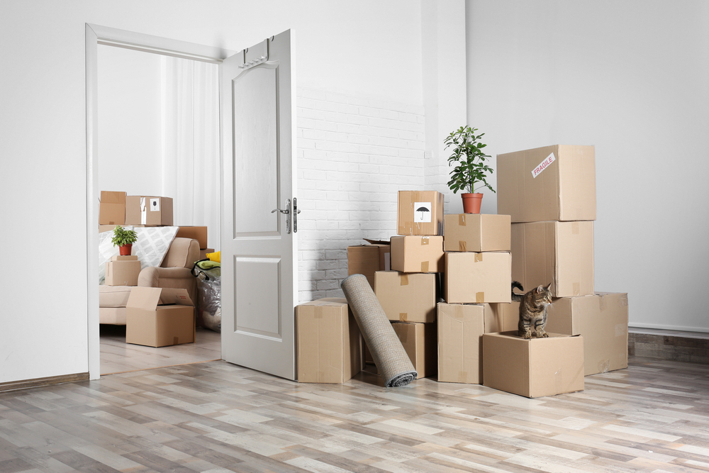 move out cleaning services